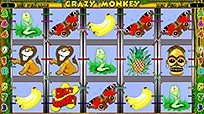 Crazy Monkey
